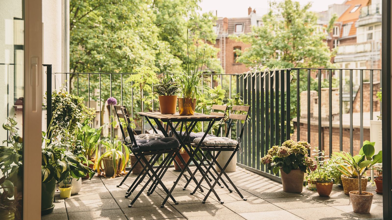 How To Harness A Cottage Garden Mood In Containers, And Give Your Tiny Courtyard A Dream-Like Feel