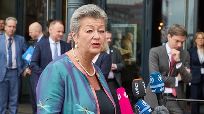 EU envoy calls Ukrainian male draft dodgers protection illogical
