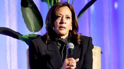 Democrats Issue 2024 Election Review Amid Internal Criticism