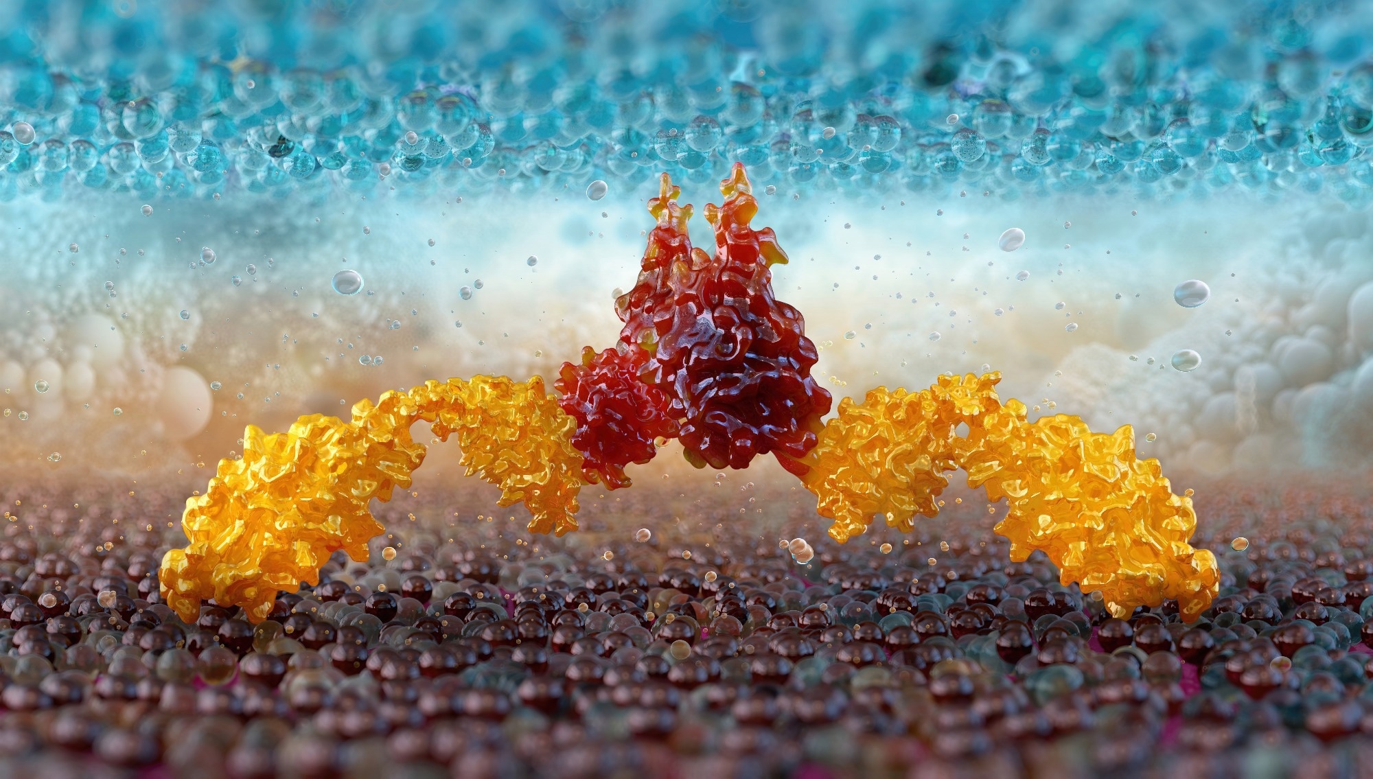 Metabolic rewiring could help CAR-T cells fight solid tumors