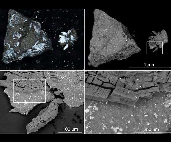 Small-Body Robot Review Charts Path From Module Design to System-Level Co-Design